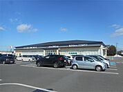 ドラッグユタカ 日夏店（285m）