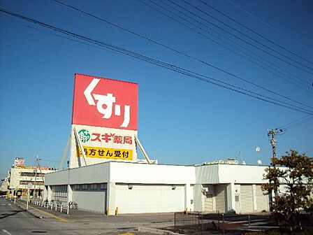 スギ薬局(900m)