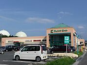 フレンドマート追分店（520m）