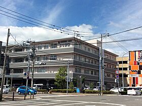 ヴィオレッタ 503 ｜ 宮崎県宮崎市錦町5番8号（賃貸マンション1K・5階・28.12㎡） その29