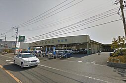 Arcadia恒久