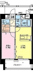 ヴィスコンティ 1LDKの間取図画像