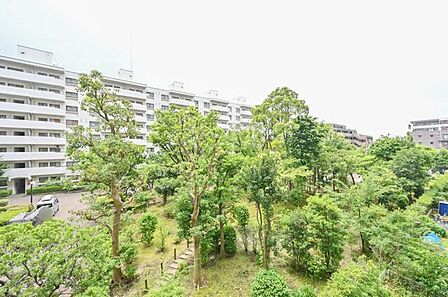 豊かな自然を望む、落ち着いた住環境が魅力のお部屋です。