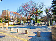 住吉公園（335m）