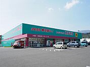 コスモス(730m)