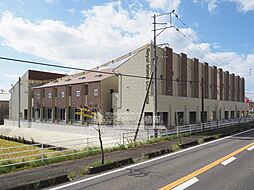 ロワイヤルアイランド織島V