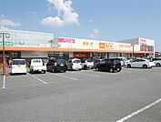 ザ・ビッグ三日月店(600m)