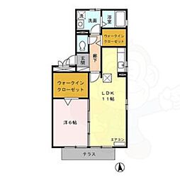 パラーシオ 1階/-