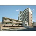 愛知県名古屋市南区戸部町3丁目：物件画像／株式会社PITTARI 賃貸住宅サービス FC名古屋セントラルパーク店