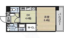サンステージ泉 10階/-