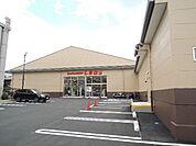 しまむら衣笠店（561m）