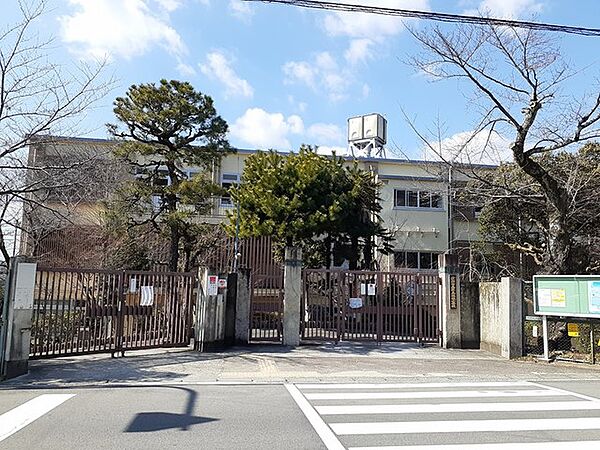 画像15:京都市立第三錦林小学校まで347m