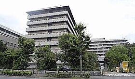 CoCo東山三条 202 ｜ 京都府京都市左京区和国町406-8（賃貸マンション1LDK・2階・49.98㎡） その17