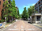 京都大学 北部キャンパス（2907m）