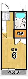 メイプルハイツ 2階/-