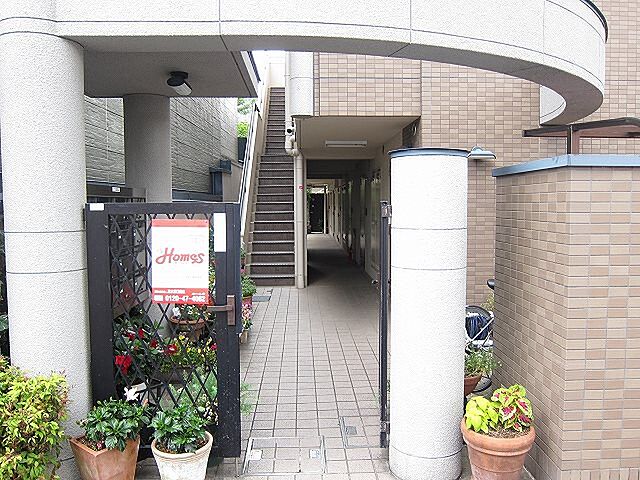 6 / 19