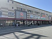 ライフ 二条駅前店（319m）