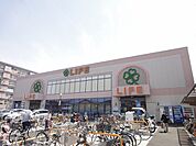 ライフ 西京極店（263m）