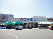 ホームセンターコーナン かどの四条外大前店（918m）