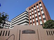 京都外国語大学（523m）