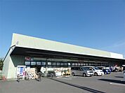 ジャパン 京都南店（914m）