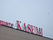カスミフードスクエア下館南店 828m