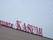 カスミフードスクエア下館南店 599m