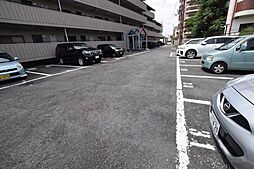 7 / 25