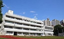 港区立麻布小学校 徒歩5分。 330m