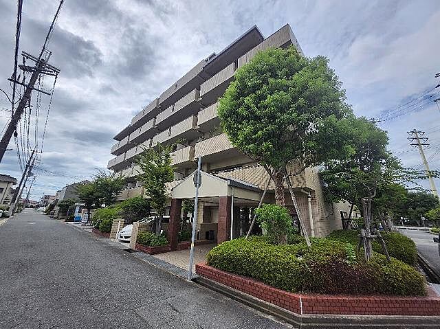4 / 8