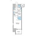 ブランシエスタ泉14階8.0万円