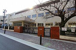 山吹小学校 560m