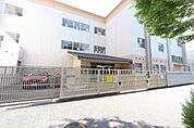 旗屋小学校 491m