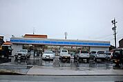 ローソン中川馬手町一丁目店 371m