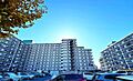 【外観】総戸数...