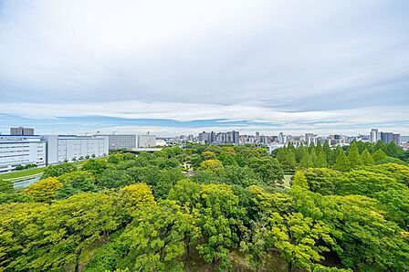 【眺望】眼下に亀戸中央公園の豊かな緑が広がる眺望。※気象条件によってその限りではなく、将来にわたって眺望を保証するものではありません。