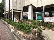 新川緑地（177m）
