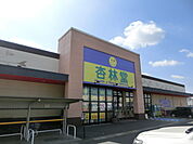 杏林堂ドラッグストアH＆B Special 泉店（1100m）