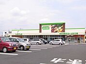 コープぐんまコープ新井店（308m）