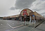 ベルク 竜舞店（346m）