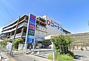 食品館あおば　本羽田店（413m）