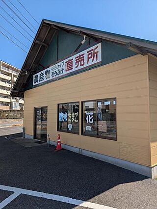 農産物ベジショ...