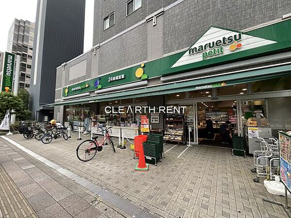 画像11:【スーパー】maruetsu(マルエツ) プチ 両国緑一丁目店まで589ｍ