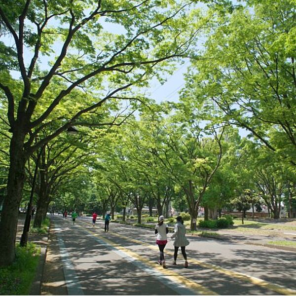 画像26:【公園】駒沢オリンピック公園まで2192ｍ