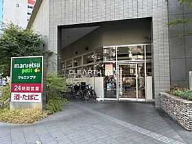 東池袋ハイツ壱番館 403 ｜ 東京都豊島区東池袋3丁目20-20（賃貸マンション1LDK・4階・46.52㎡） その18