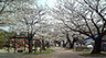 周辺：【公園】東領公園まで605ｍ