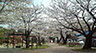 周辺：【公園】山王公園まで446ｍ