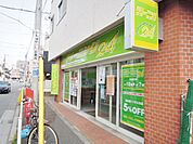クリーニング24（677m）