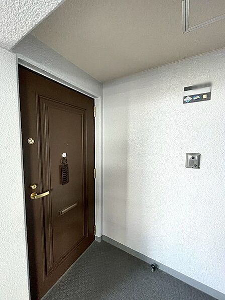 落ち着いたデザインの玄関です。 
