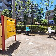 遊具のある公園があります
